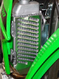 Kawasaki KLX300 Dual Sport & Super Moto Radiator Guards
